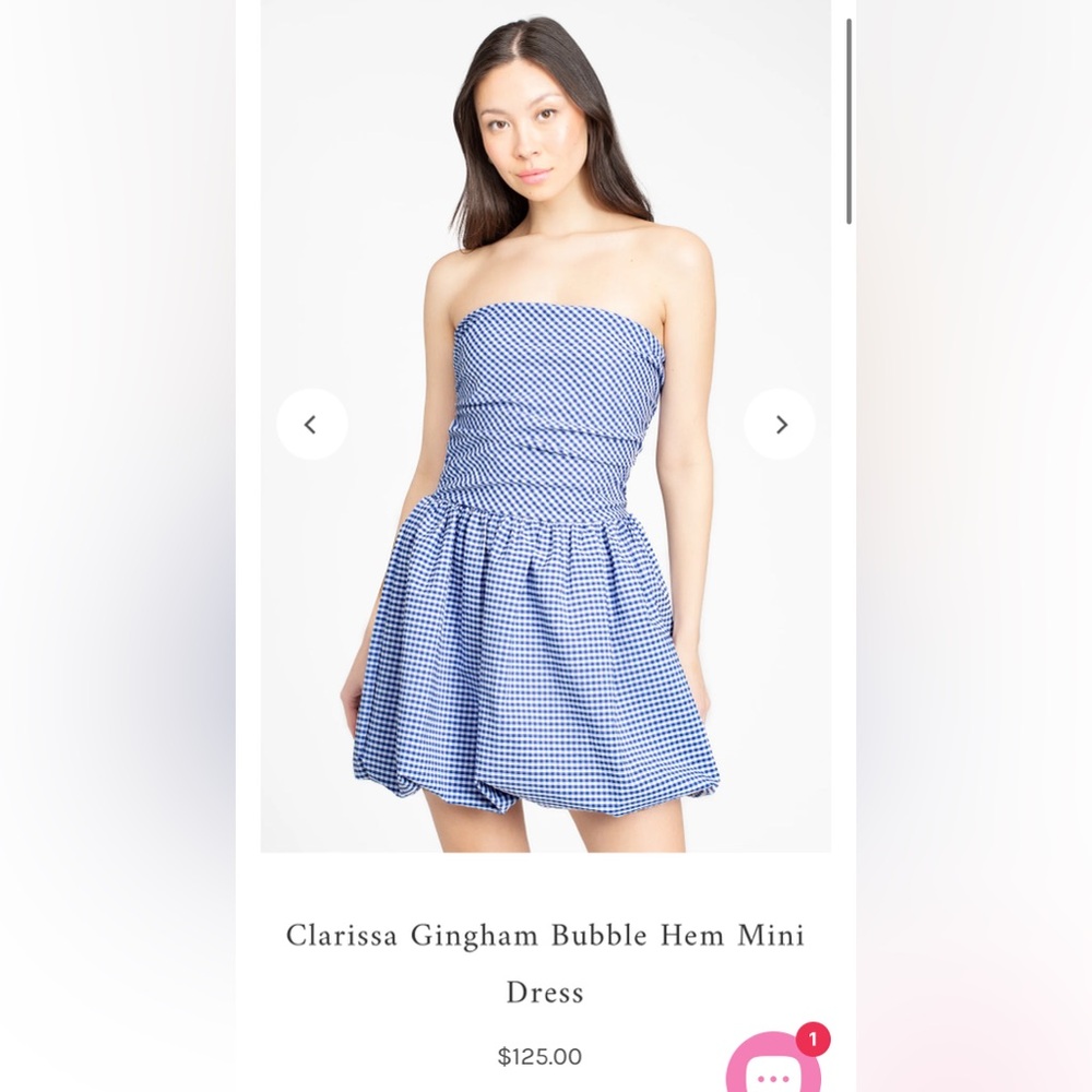 NWOT Clarissa Gingham Bubble Hem Dress from Honey Shop- size Small
